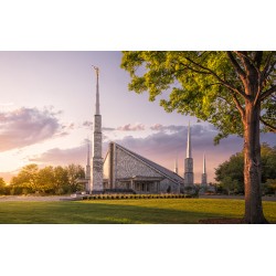 Dallas Texas Temple Recommend Holder